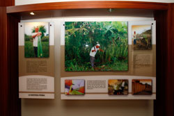 THE MAGIC OF THE HAT博物館 館内展示。